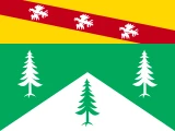 Drapeau du département Vosges